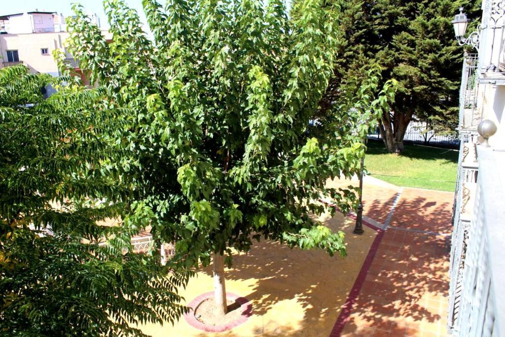 Hotel La Zubia , Granada 외부 사진